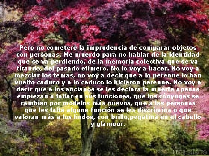 Pero no cometeré la imprudencia de comparar objetos con personas. Me muerdo para no