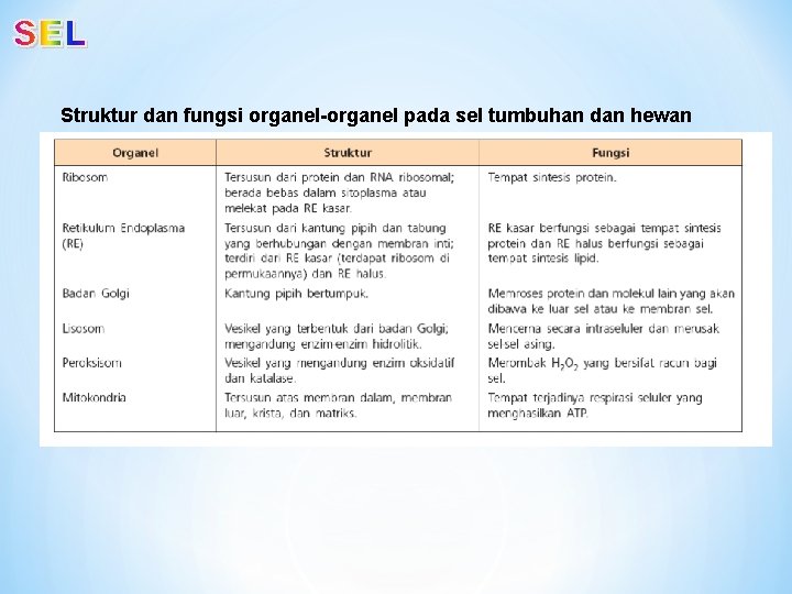 Struktur dan fungsi organel-organel pada sel tumbuhan dan hewan 