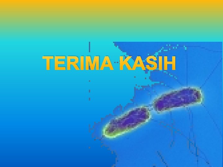 TERIMA KASIH 