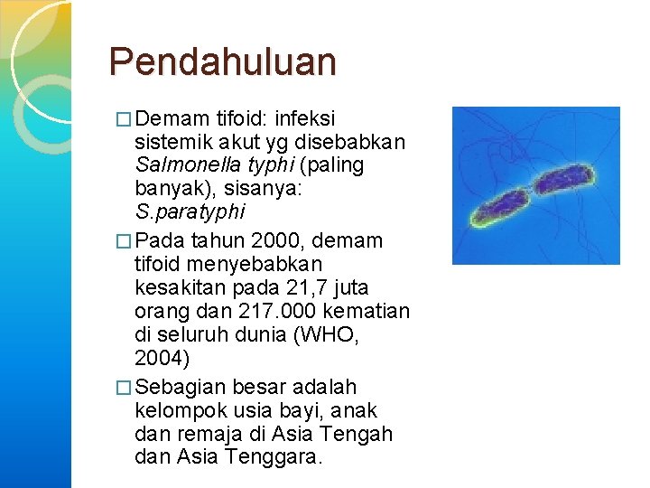 Pendahuluan � Demam tifoid: infeksi sistemik akut yg disebabkan Salmonella typhi (paling banyak), sisanya: