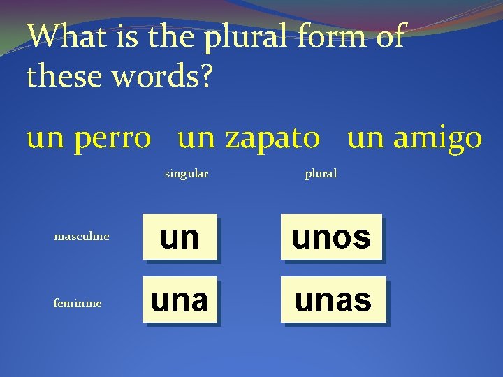 What is the plural form of these words? un perro un zapato un amigo