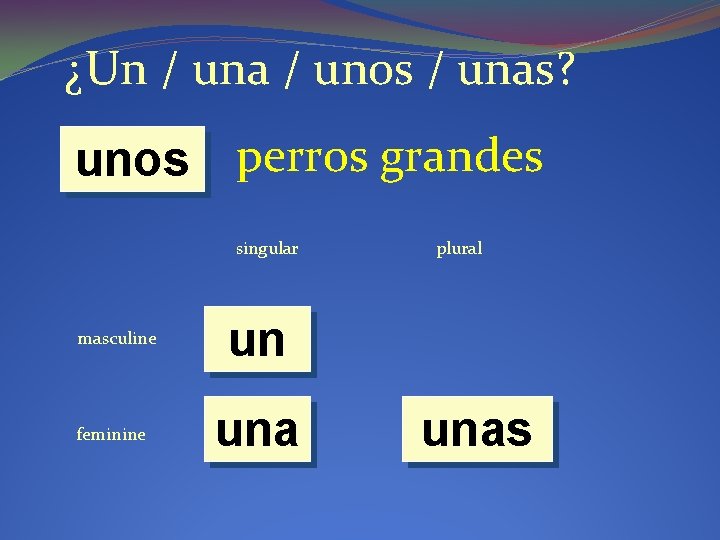 ¿Un / una / unos / unas? unos perros grandes singular masculine feminine plural