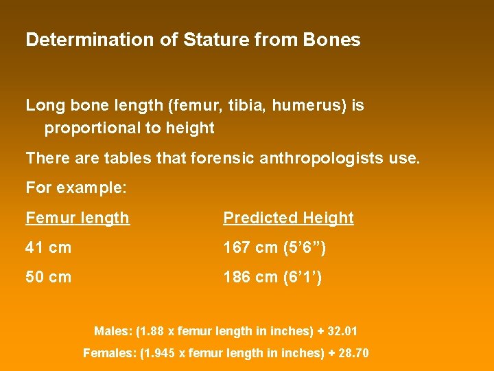 Determination of Stature from Bones Long bone length (femur, tibia, humerus) is proportional to