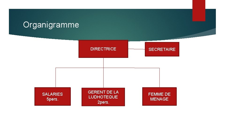 Organigramme DIRECTRICE SALARIES 5 pers. GERENT DE LA LUDHOTEQUE 2 pers. SECRETAIRE FEMME DE