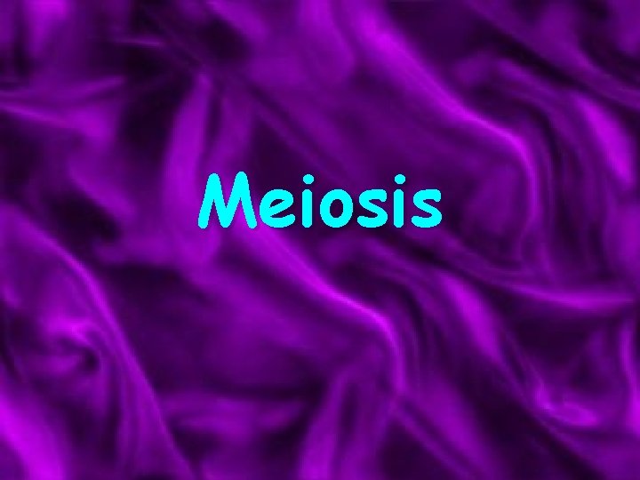 Meiosis 