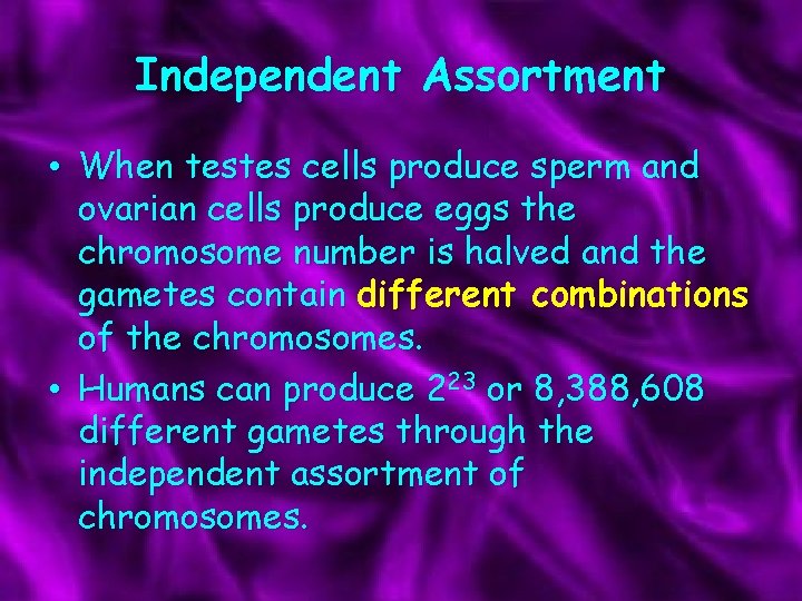 Independent Assortment • When testes cells produce sperm and ovarian cells produce eggs the