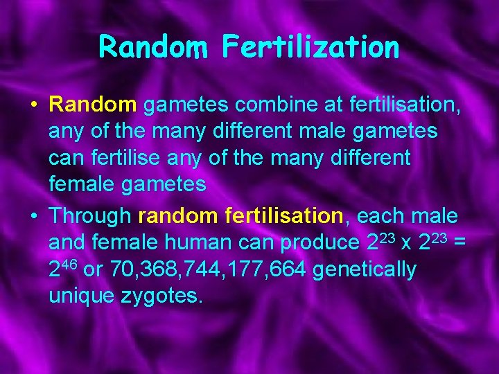 Random Fertilization • Random gametes combine at fertilisation, any of the many different male