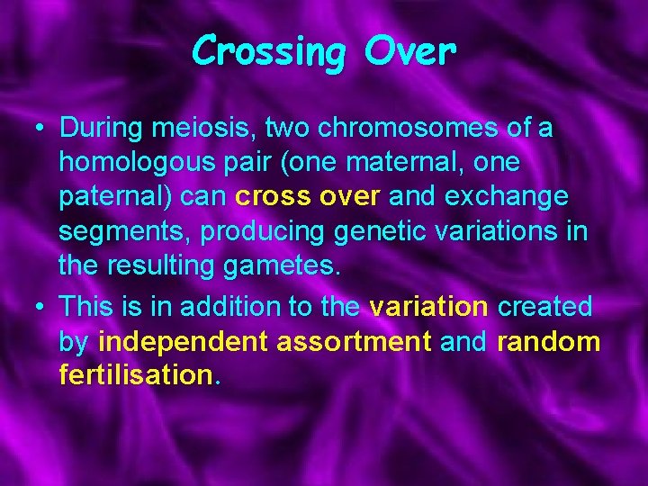 Crossing Over • During meiosis, two chromosomes of a homologous pair (one maternal, one