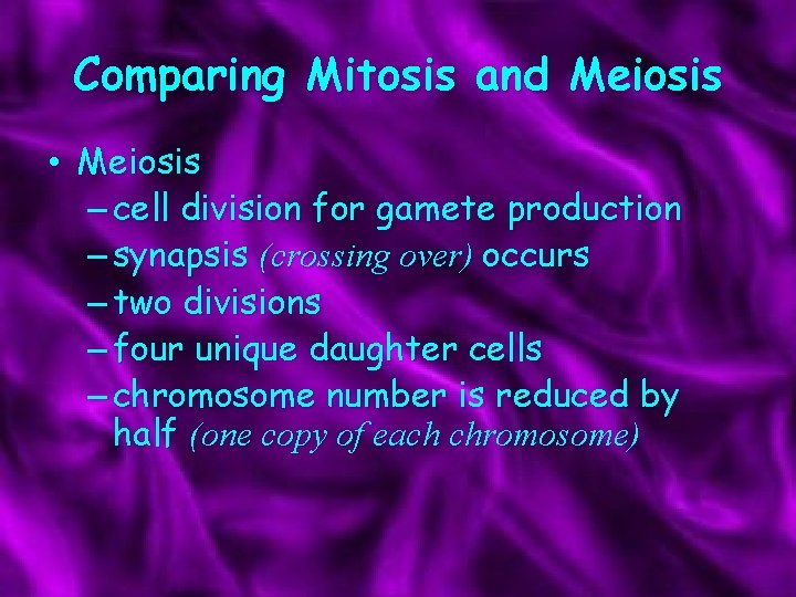 Comparing Mitosis and Meiosis • Meiosis – cell division for gamete production – synapsis