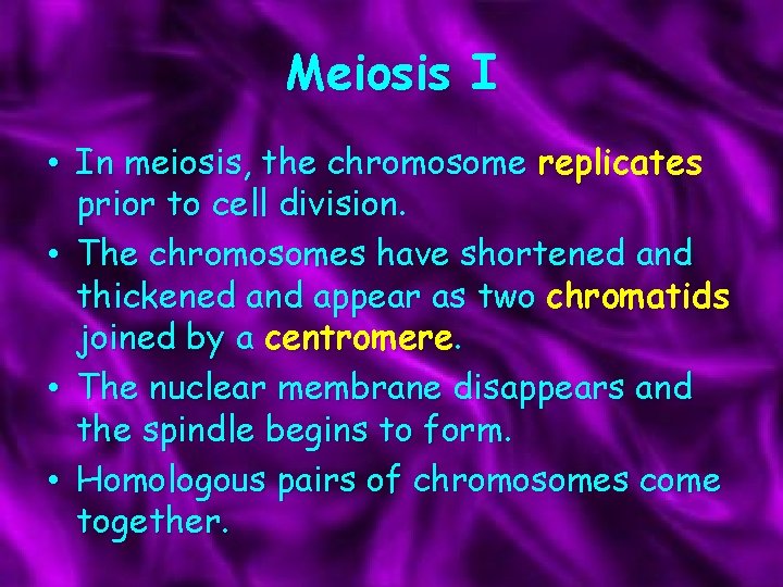 Meiosis I • In meiosis, the chromosome replicates prior to cell division. • The