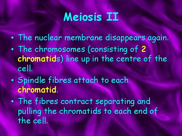 Meiosis II • The nuclear membrane disappears again. • The chromosomes (consisting of 2