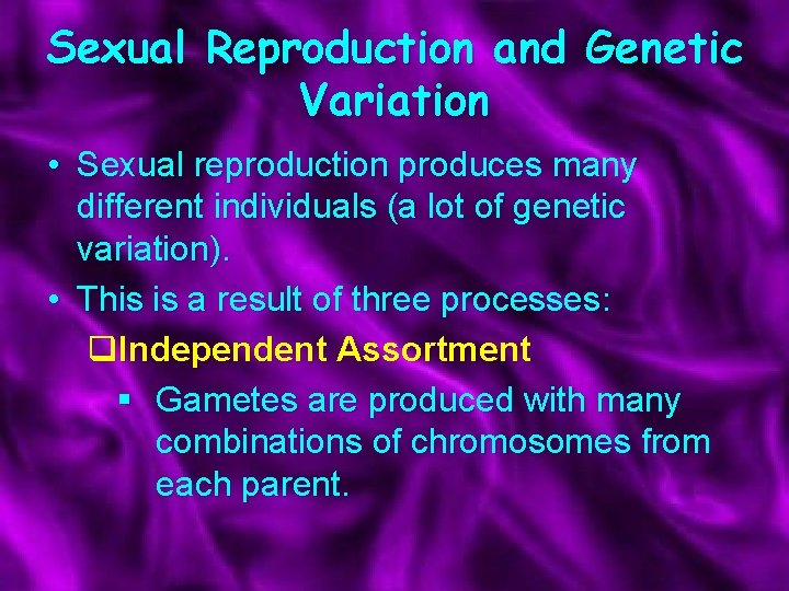 Sexual Reproduction and Genetic Variation • Sexual reproduction produces many different individuals (a lot