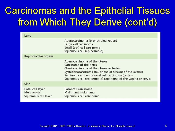 Carcinomas and the Epithelial Tissues from Which They Derive (cont’d) Copyright © 2011, 2008,