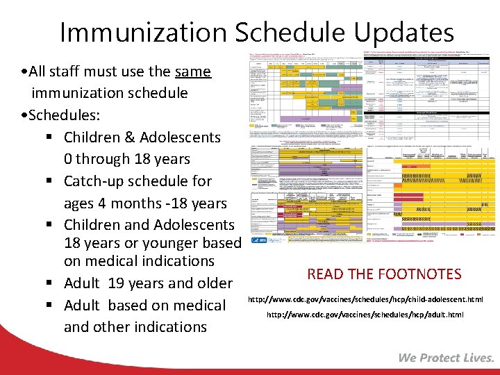 Immunization Schedule Updates • All staff must use the same immunization schedule • Schedules: