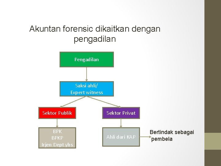 Akuntan forensic dikaitkan dengan pengadilan Pengadilan Saksi ahli/ Expert witness Sektor Publik Sektor Privat