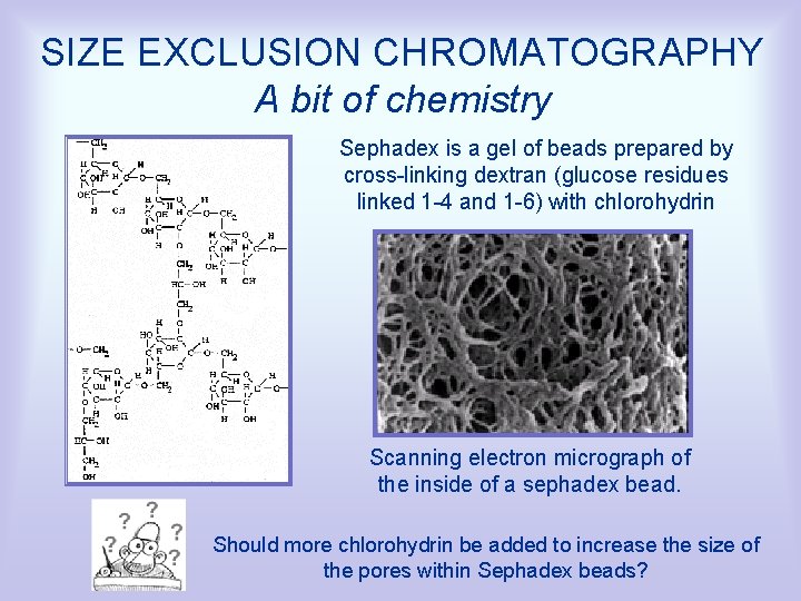 SIZE EXCLUSION CHROMATOGRAPHY A bit of chemistry Sephadex is a gel of beads prepared