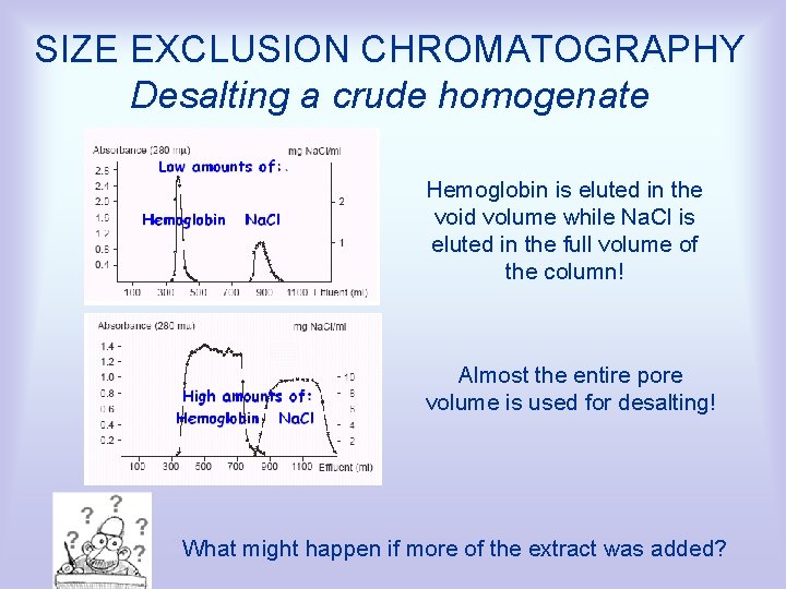 SIZE EXCLUSION CHROMATOGRAPHY Desalting a crude homogenate Hemoglobin is eluted in the void volume