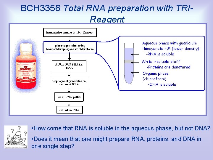 BCH 3356 Total RNA preparation with TRIReagent • How come that RNA is soluble
