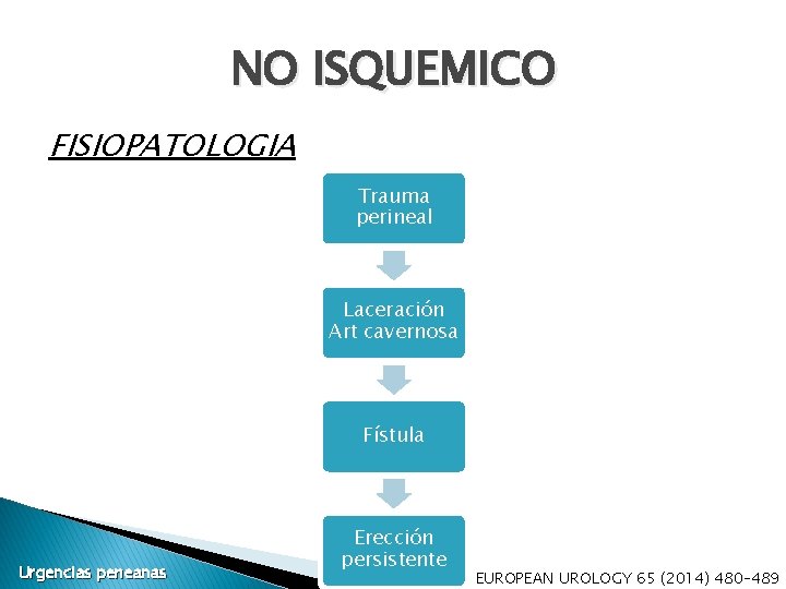 NO ISQUEMICO FISIOPATOLOGIA Trauma perineal Laceración Art cavernosa Fístula Urgencias peneanas Erección persistente EUROPEAN NO ISQUEMICO FISIOPATOLOGIA Trauma perineal Laceración Art cavernosa Fístula Urgencias peneanas Erección persistente EUROPEAN