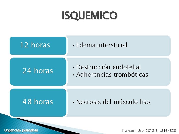ISQUEMICO 12 horas • Edema intersticial 24 horas • Destrucción endotelial • Adherencias trombóticas ISQUEMICO 12 horas • Edema intersticial 24 horas • Destrucción endotelial • Adherencias trombóticas