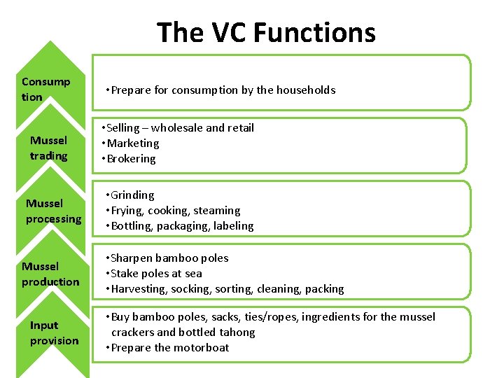 The VC Functions Consump tion Mussel trading Mussel processing Mussel production Input provision •