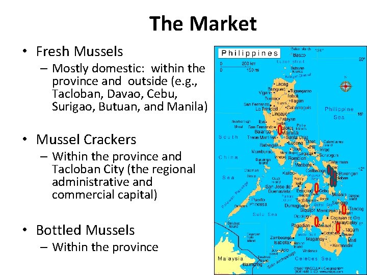 The Market • Fresh Mussels – Mostly domestic: within the province and outside (e.