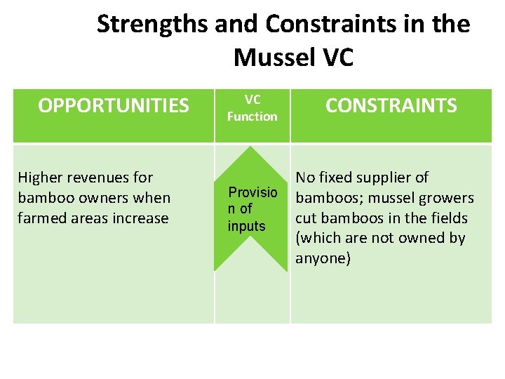 Strengths and Constraints in the Mussel VC OPPORTUNITIES Higher revenues for bamboo owners when