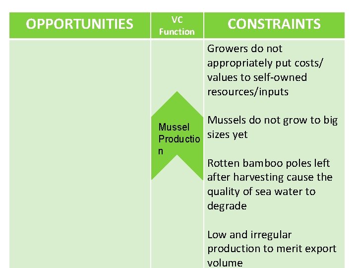 OPPORTUNITIES VC Function CONSTRAINTS Growers do not appropriately put costs/ values to self-owned resources/inputs