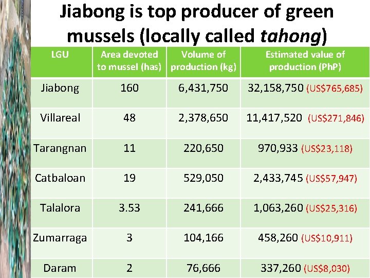 Jiabong is top producer of green mussels (locally called tahong) LGU Area devoted Volume