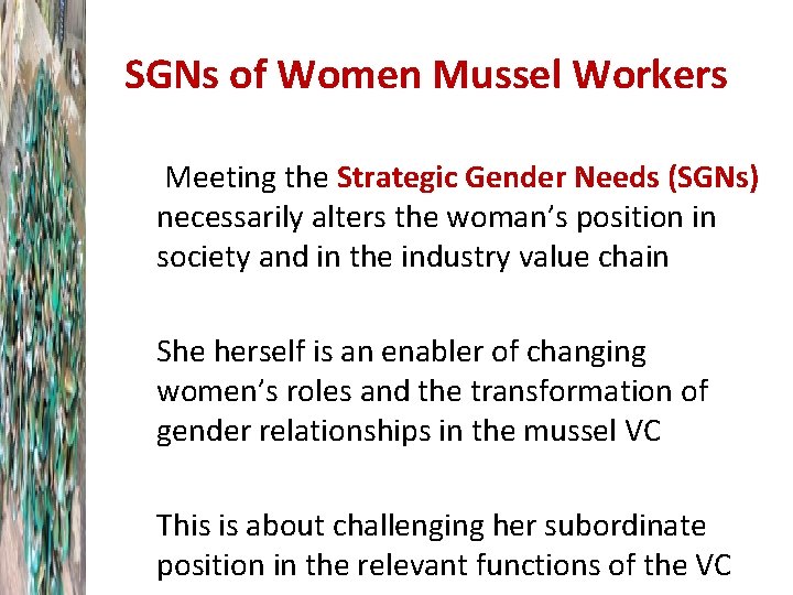 SGNs of Women Mussel Workers Meeting the Strategic Gender Needs (SGNs) necessarily alters the