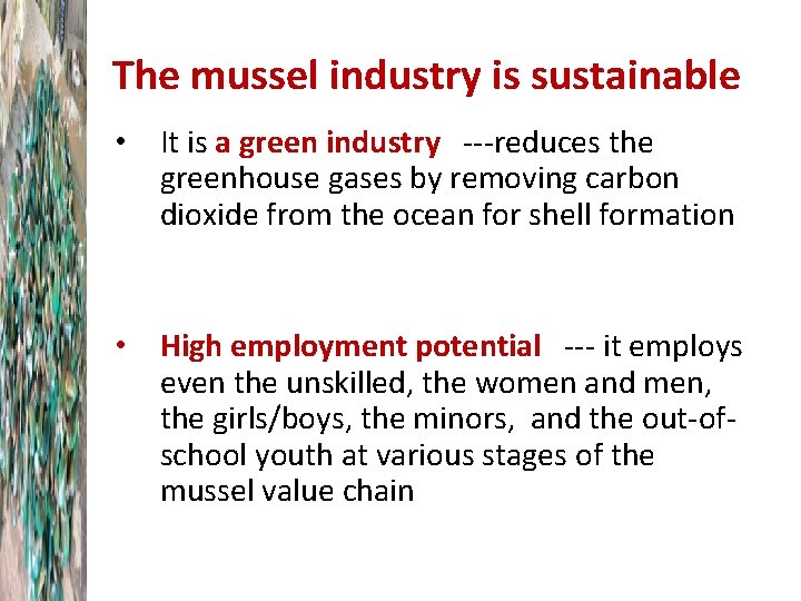 The mussel industry is sustainable • It is a green industry ---reduces the greenhouse