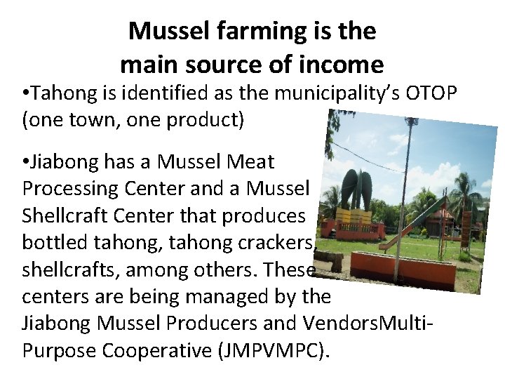 Mussel farming is the main source of income • Tahong is identified as the