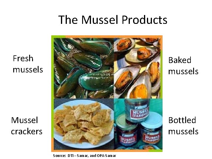 The Mussel Products Fresh mussels Baked mussels Mussel crackers Bottled mussels Source: DTI –