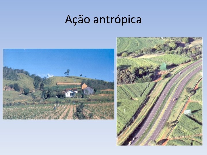 Ação antrópica 