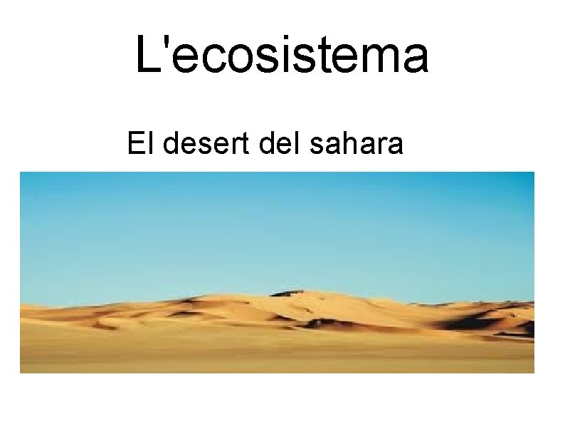 L'ecosistema El desert del sahara 