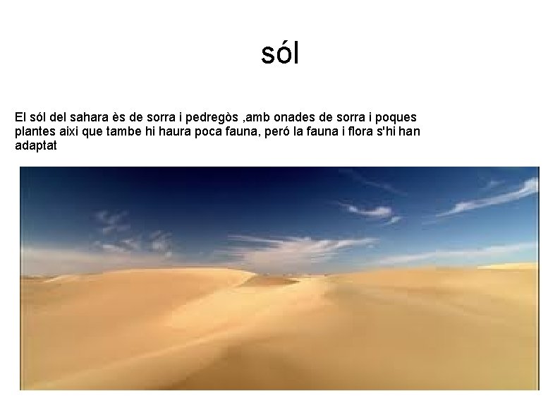 sól El sól del sahara ès de sorra i pedregòs , amb onades de