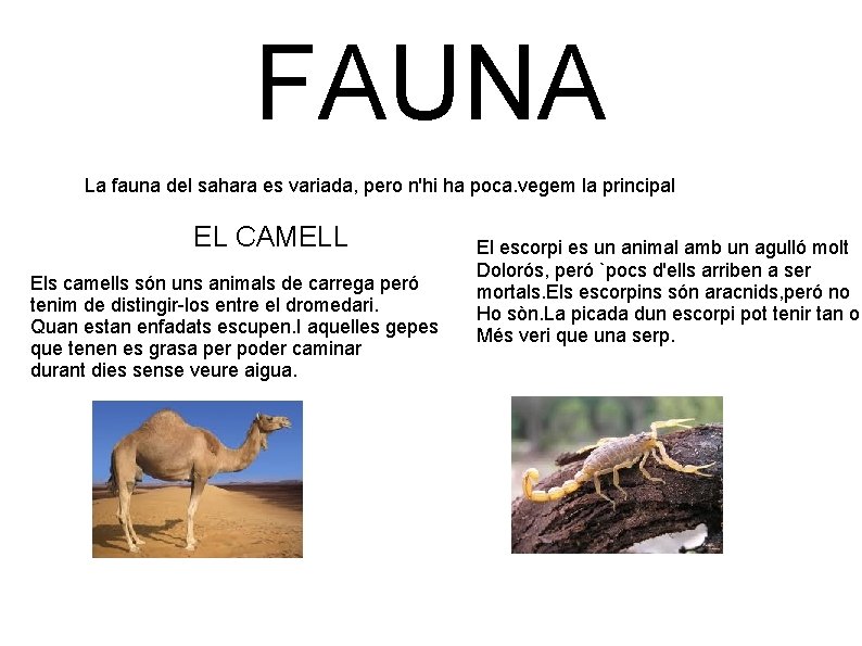 FAUNA La fauna del sahara es variada, pero n'hi ha poca. vegem la principal