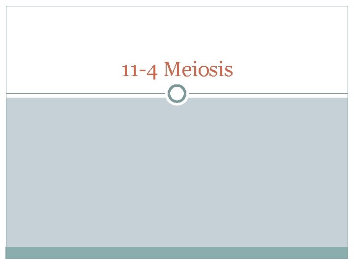11 -4 Meiosis 