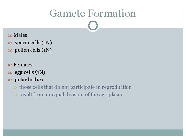 Gamete Formation Males sperm cells (1 N) pollen cells (1 N) Females egg cells