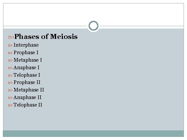  Phases of Meiosis Interphase Prophase I Metaphase I Anaphase I Telophase I Prophase