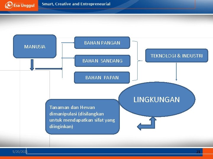 MANUSIA BAHAN PANGAN BAHAN SANDANG TEKNOLOGI & INDUSTRI BAHAN PAPAN Tanaman dan Hewan dimanipulasi MANUSIA BAHAN PANGAN BAHAN SANDANG TEKNOLOGI & INDUSTRI BAHAN PAPAN Tanaman dan Hewan dimanipulasi