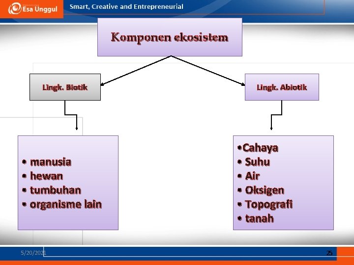 Komponen ekosistem Lingk. Biotik • manusia • hewan • tumbuhan • organisme lain 5/20/2021 Komponen ekosistem Lingk. Biotik • manusia • hewan • tumbuhan • organisme lain 5/20/2021