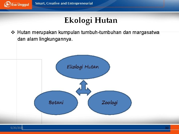 Ekologi Hutan v Hutan merupakan kumpulan tumbuh-tumbuhan dan margasatwa dan alam lingkungannya. Ekologi Hutan Ekologi Hutan v Hutan merupakan kumpulan tumbuh-tumbuhan dan margasatwa dan alam lingkungannya. Ekologi Hutan