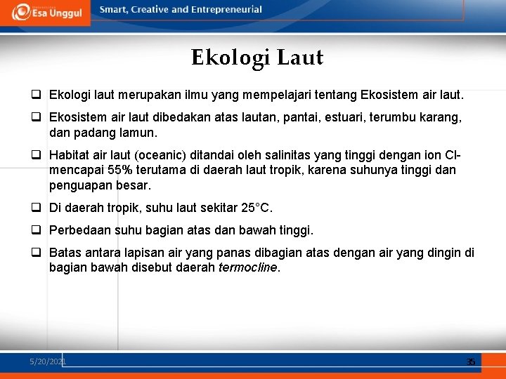 Ekologi Laut q Ekologi laut merupakan ilmu yang mempelajari tentang Ekosistem air laut. q Ekologi Laut q Ekologi laut merupakan ilmu yang mempelajari tentang Ekosistem air laut. q
