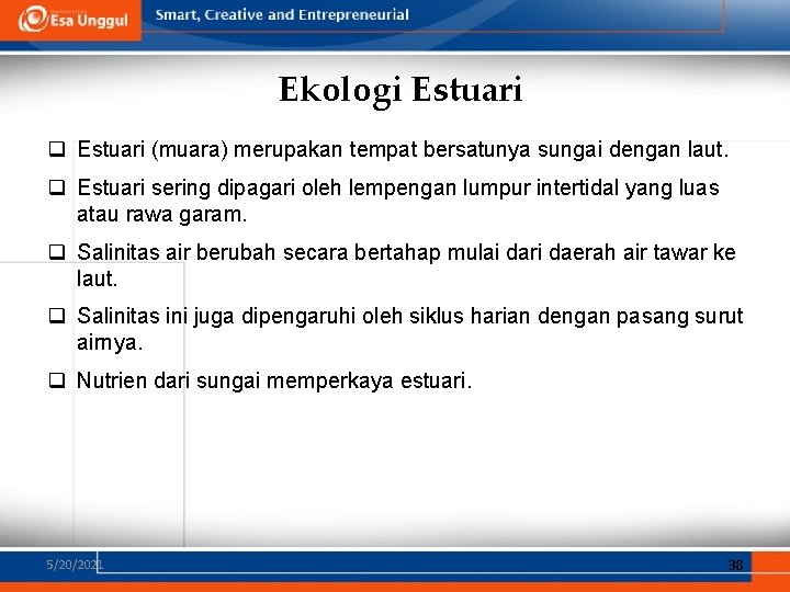 Ekologi Estuari q Estuari (muara) merupakan tempat bersatunya sungai dengan laut. q Estuari sering Ekologi Estuari q Estuari (muara) merupakan tempat bersatunya sungai dengan laut. q Estuari sering