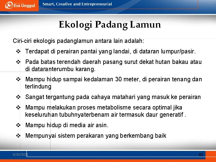 Ekologi Padang Lamun Ciri-ciri ekologis padanglamun antara lain adalah: v Terdapat di perairan pantai Ekologi Padang Lamun Ciri-ciri ekologis padanglamun antara lain adalah: v Terdapat di perairan pantai