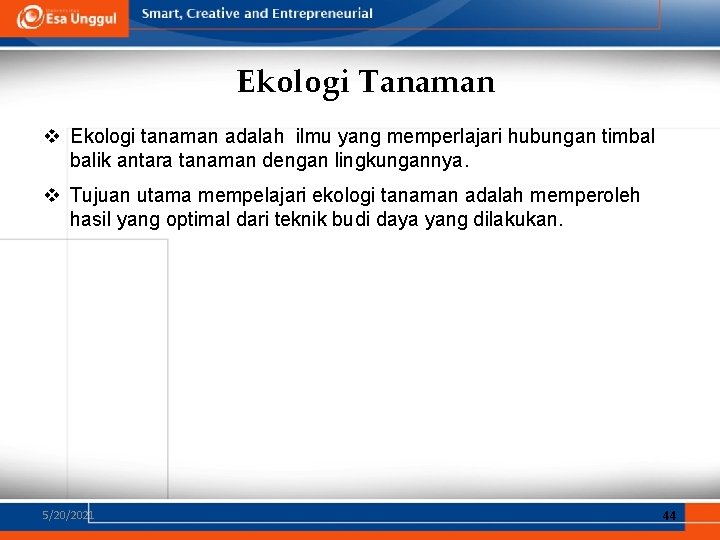 Ekologi Tanaman v Ekologi tanaman adalah ilmu yang memperlajari hubungan timbal balik antara tanaman Ekologi Tanaman v Ekologi tanaman adalah ilmu yang memperlajari hubungan timbal balik antara tanaman