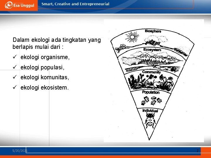 Dalam ekologi ada tingkatan yang berlapis mulai dari : ü ekologi organisme, ü ekologi Dalam ekologi ada tingkatan yang berlapis mulai dari : ü ekologi organisme, ü ekologi