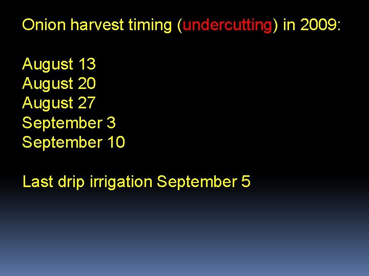 Onion harvest timing (undercutting) in 2009: August 13 August 20 August 27 September 3