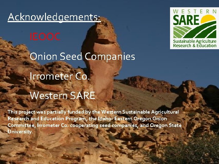 Acknowledgements: IEOOC Onion Seed Companies Irrometer Co. Western SARE This project was partially funded